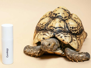 African Nation Are Strugling To Save Their Wildlife