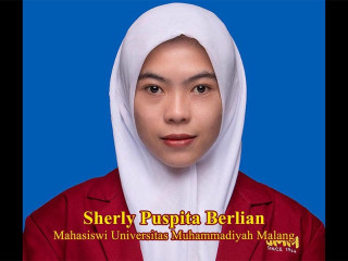 Krisis Transportasi Kota Malang, Angkutan Konvensional Terhimpit Teknologi Digital