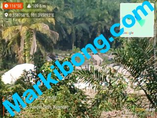 Kembali Mencuat, Diduga Inisial "W" Warga Desa Kebun Lado Bigboss PETI Kebal Hukum, Masyarakat Desak Penegakan Hukum