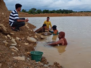 GEMPSU Madina Dorong Dialog dan Kepastian Ekonomi dalam Penanganan PETI Pulo Padang